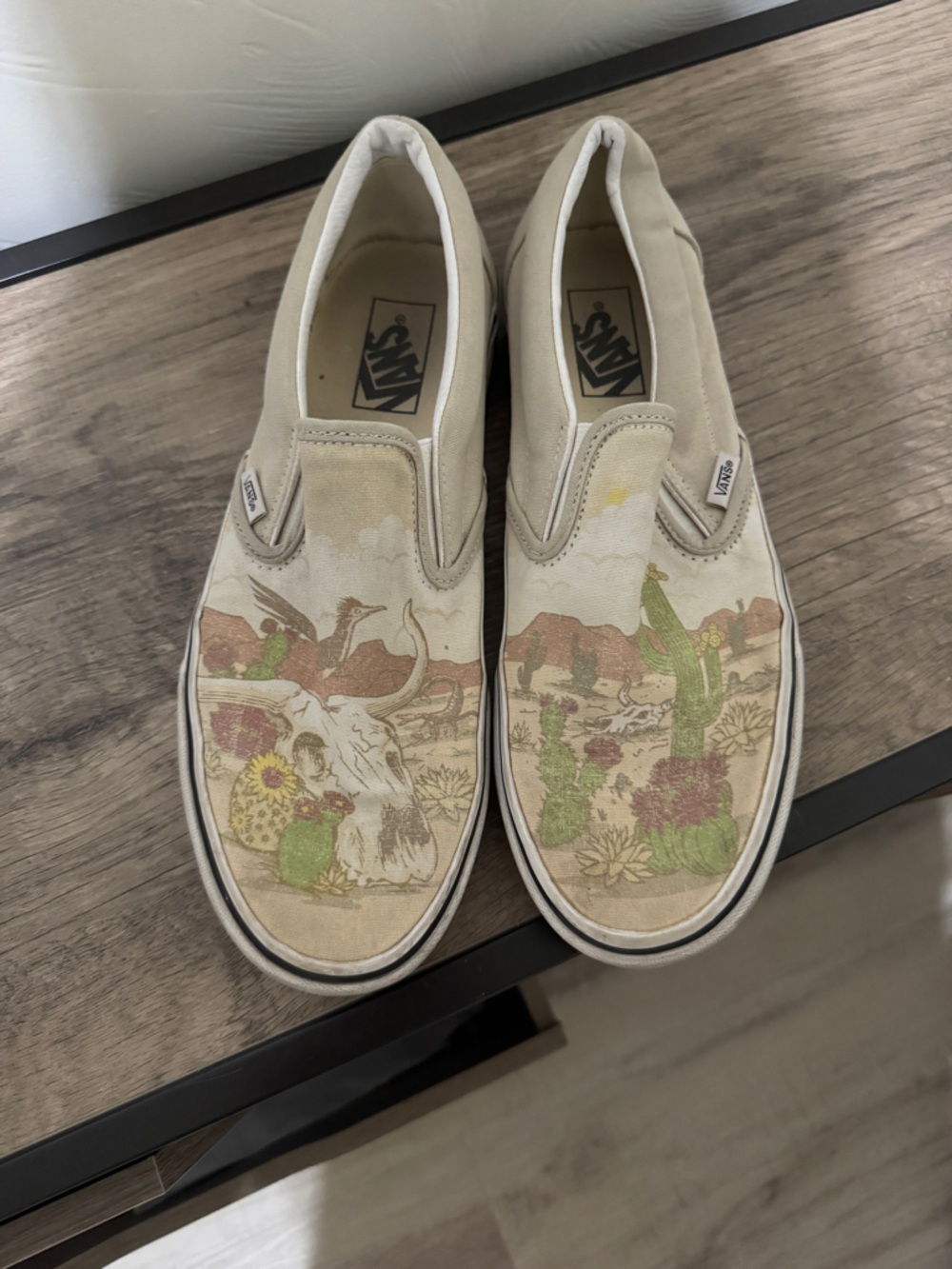 Vans Slip-On Desert Illustration Shoes - Beige